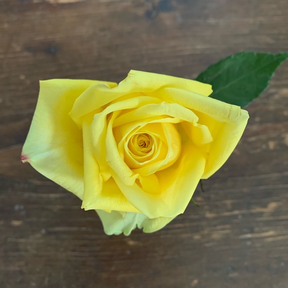 Meet your Posher, Elizabeth - Picture 1 of 1